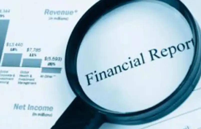 The Role Of CPAs In Financial Audits And Reporting